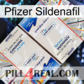 Pfizer Sildenafil kamagra1